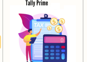 Remote Bookkeeping in Tally
